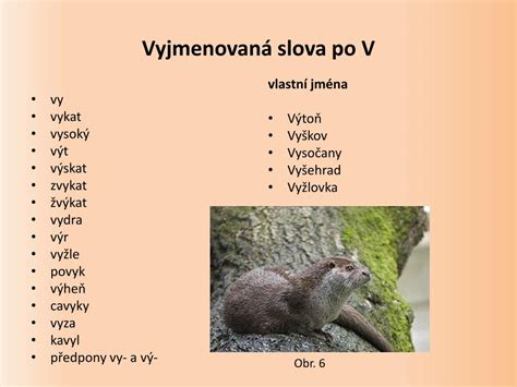 PPT Pravopis vyjmenovaná slova PowerPoint Presentation free