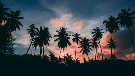 Twilight Tropical Sunset Dusk Silhouette Sunset Tropical Landscape