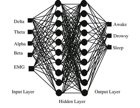 Neural Networks Model Inputs And Outputs Download Scientific Diagram