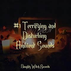 Timothy Treadwell Audio The Terrifying Sounds They Never Wanted You To Hear