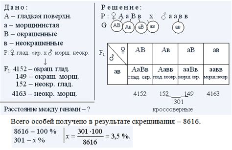 Гладкая поверхность семян кукурузы доминирует над морщинистой ...