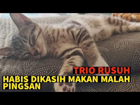 DIKIRA SUHU EH TERNYATA CUPU PREMAN HABIS MAKAN LANGSUNG PINGSAN YouTube