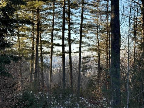 10.46 Acres, 0 Fish Hill Road, Randolph, VT 05060 | Land and Farm