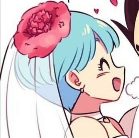 Dragon Ball Couples Pfp Vegeta And Bulma Dragon Ball Art Dragon Ball Image