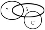 Syllogism - Concept and Examples - Hitbullseye