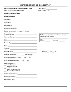 Fillable Online Clark Wood Pre K Registration Form Docx Fax Email Print