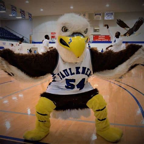 Faulkner Mascot Hall Of Fame