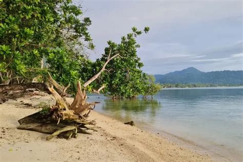 Pantai Burate Surga Bahari Tersembunyi Yang Kaya Pesona Di Nabire