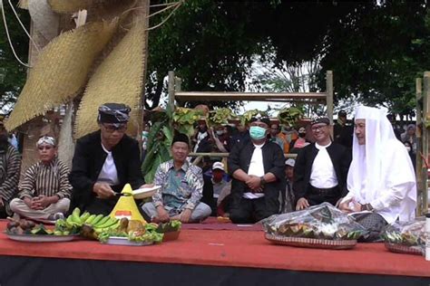 Seribu Tumpeng Dan Ingkung Meriahkan Prosesi Wilujengan Wiwit Mbako