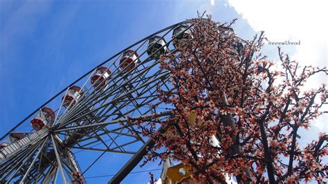 My Date Proposed To Me Naked LIFESTYLE Fashion Potluck