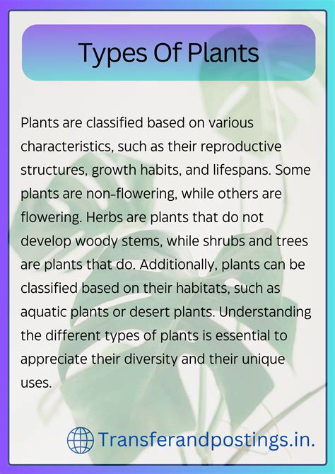 Paragraph On Plants The Importance Of Plants Transfer And Postings