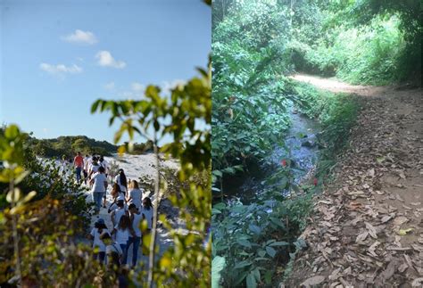 Jornal Correio Conheça sete trilhas urbanas para fazer nos parques de