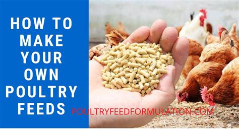 Poultry Feed Formulation How To Make Your Own Poultry Feed Hd Youtube