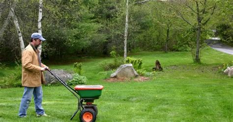 Is there a natural grass fertilizer? - Home Decor Chat