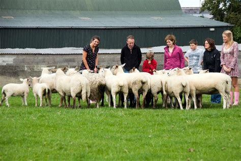 Causey Farm – Be Irish For a Day