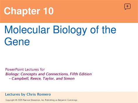 Molecular Biology Of The Gene Ppt Download