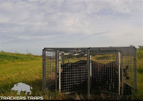 Collapsible Pig Trap Trackers Traps