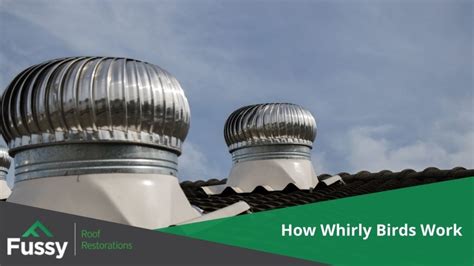 Benefits Of A Whirly Bird In Summer Fussy Roof Restorations