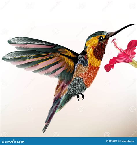 Beautiful Colorful Hummingbird With Flower Stock Vector Illustration