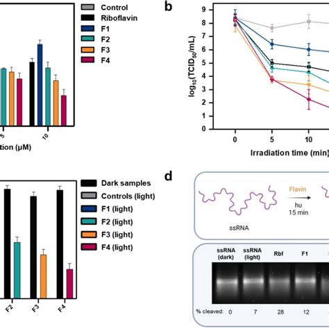 Photodynamic Inactivation Of E Coli A Photodynamic Inactivation Of