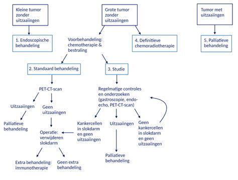 Slokdarmkanker Pati Ntenfolder Erasmus Mc