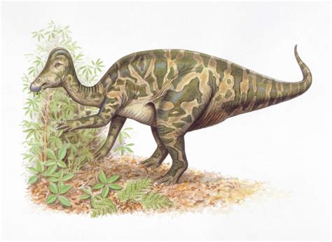 Which Dinosaurs Are Most Important to Paleontologists? Jurassic ...