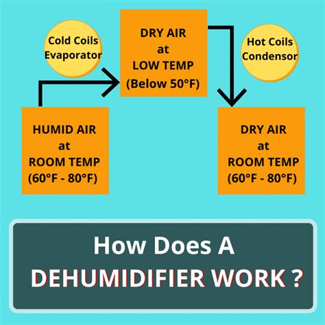 Why Is My Dehumidifier Blowing Hot Air Dehumidifier Depot