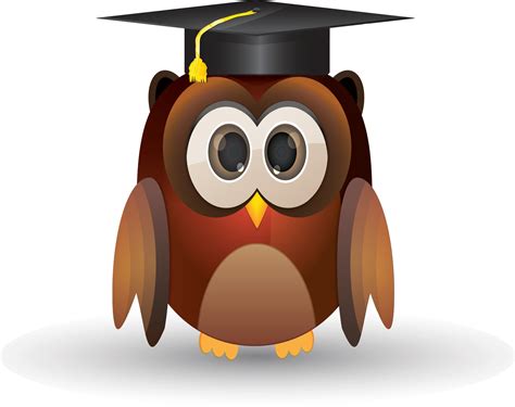 Cute Owl Wearing Graduation Hat 25253687 Vector Art At Vecteezy