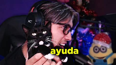 El Gato Sex0 Youtube