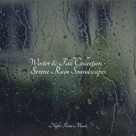 Winter Fall Collection Serene Rain Soundscapes Album By Academia