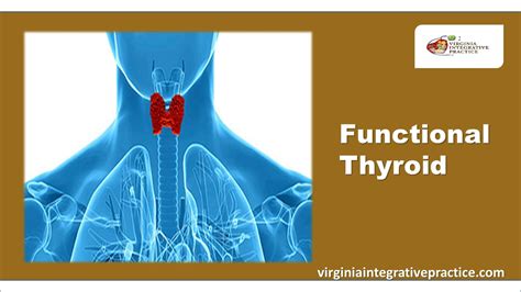 Ppt Functional Thyroid Powerpoint Presentation Free To Download