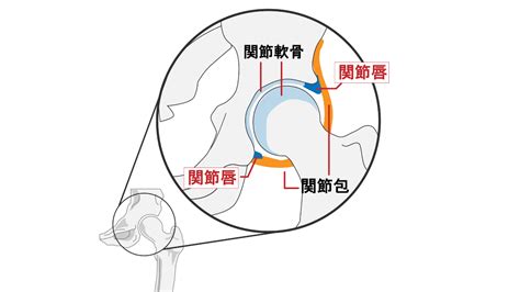 50歳からの「股関節の違和感」は放置しないで！股関節の詰まりや引っかかりに 就寝前の股関節ケア ヨガジャーナルオンライン