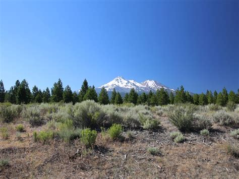 Snow Covered Mount Shasta In July Smithsonian Photo Contest