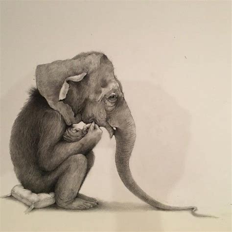 Funny And Surreal Pencil Drawings By Adonna Khare Elephant Drawing