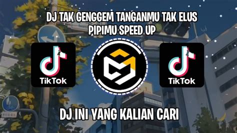 Dj Tak Genggem Tanganmu Tak Elus Pipimu Speed Up Dj Tulus Mengkane