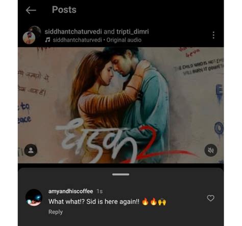 Dhadak 2 Teaser Fans Excited For Siddhant Chaturvedi Triptii Dimri S