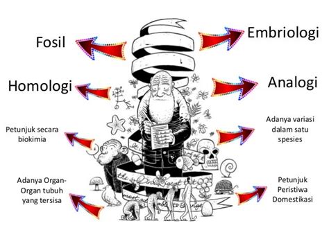 Biologi - petunjuk adanya evolusi