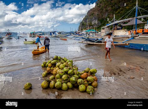 A Pile Of Buko Fresh Coconuts On Corong Corong Beach El Nido