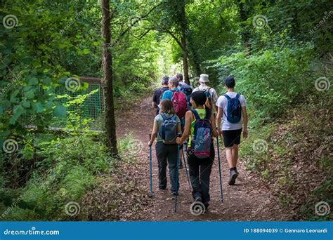 Group Of Hikers Walks The Path Inside The Woods Editorial Stock Image