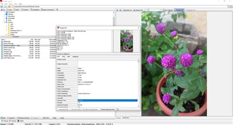 Wildbit Viewer Is A Freeware Image Viewer For Windows Ghacks Tech News