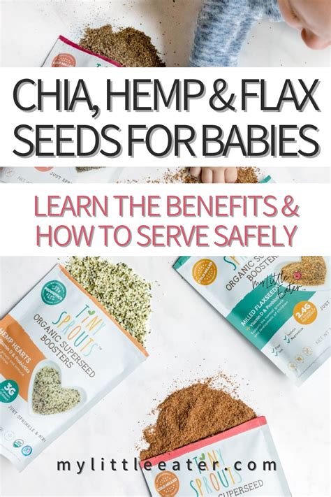 Health Benefits Of Chia Hemp And Flax Seeds For Babies And How To Serve