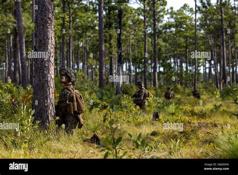 U S Marines With 2d Combat Engineer Battalion 2d Marine Division Post