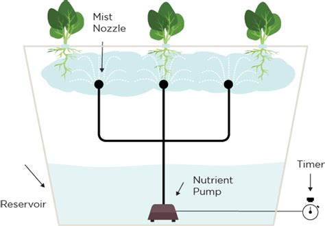 Hydroponic Systems Different Types And How They Work