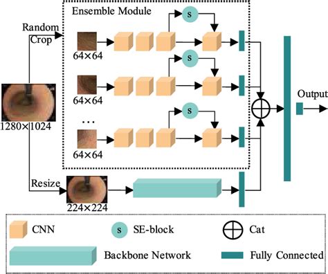 Figure 4 From A Benchmark Dataset Of Endoscopic Images And Novel Deep