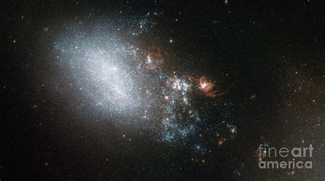 Irregular Galaxy Ngc Photograph By Nasa Esa Hubble Stsci Science