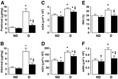 Deletion Of P66shc Longevity Gene Protects Against Experimental