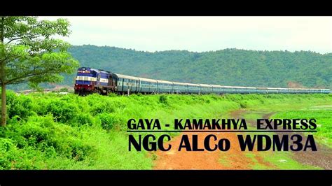 New Guwahati NGC ALCo WDM3A Hauls The 15619 GAYA KAMAKHYA EXPRESS