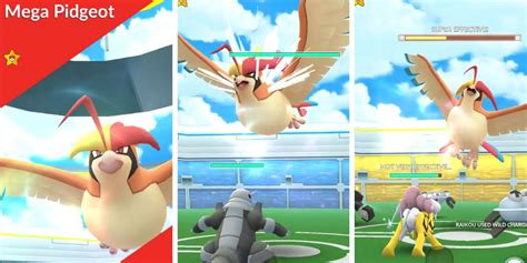 Pokémon GO Mega Pidgeot Raid Battle Guide Best Counters Movesets