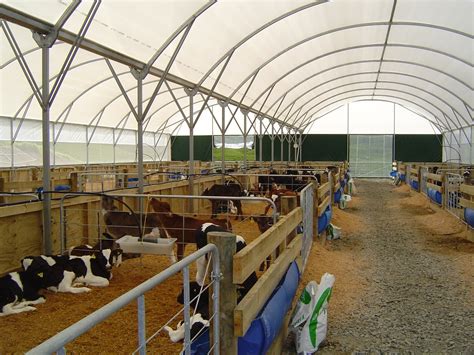 Calf Shelters Redpath