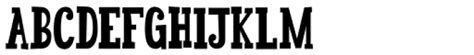 Dr Eric Font Serif Classic What Font Is